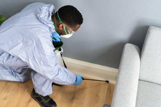 Best Pest Prevention Services  in Opelousas, LA